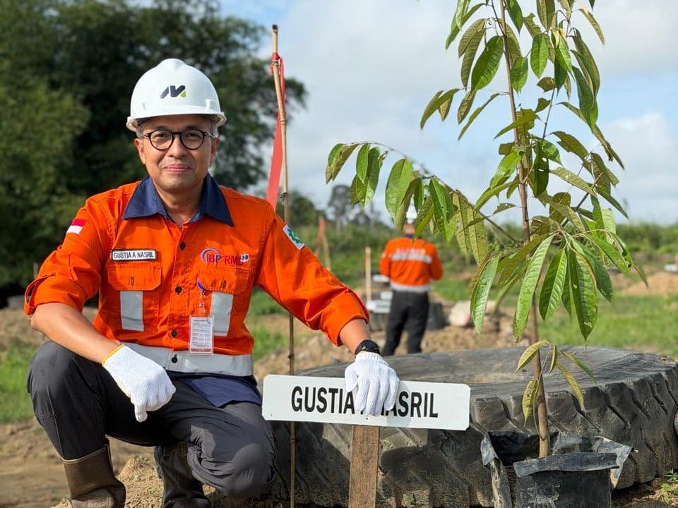 Employee planting a tree seedling